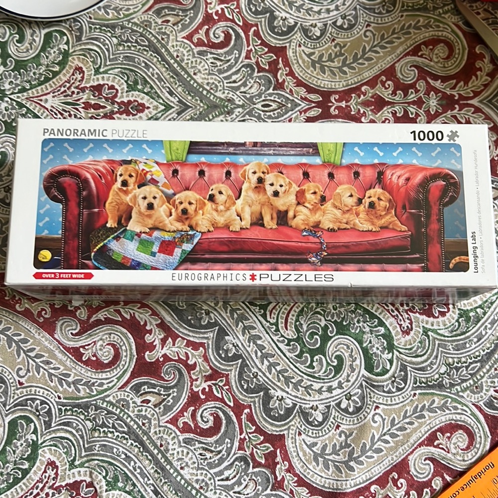 New 1000 piece panoramic puzzle